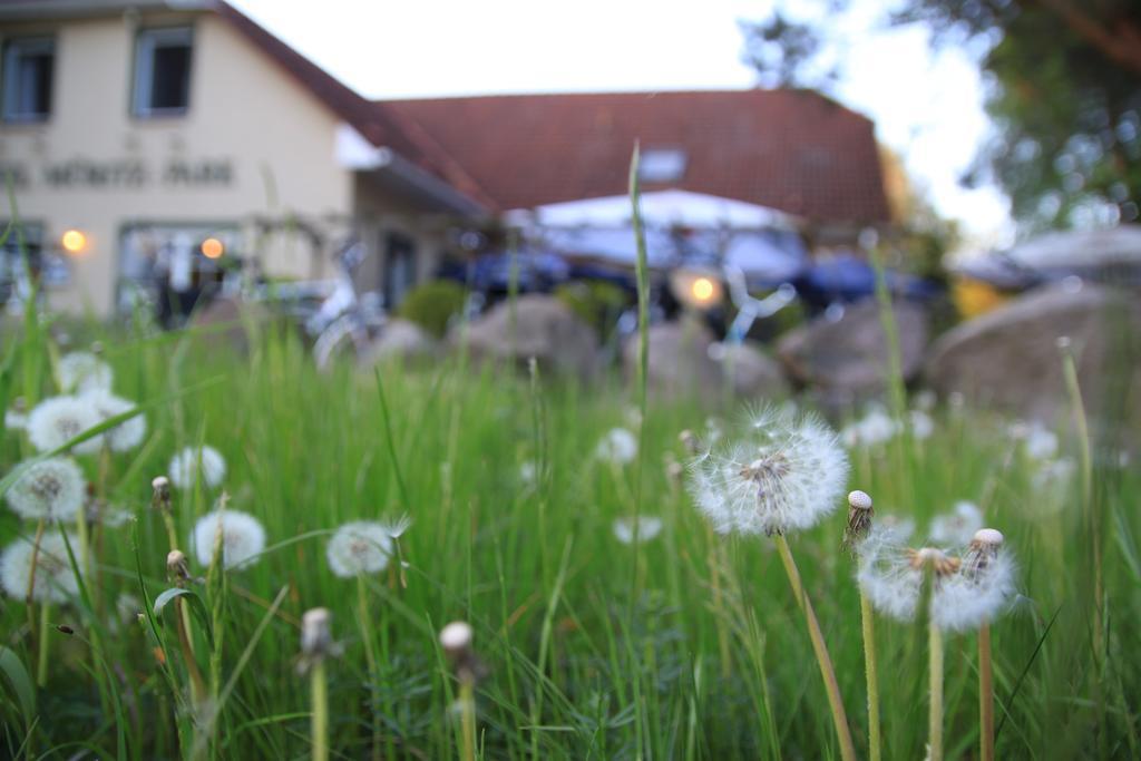Hotel Mueritz-Park Boek Esterno foto